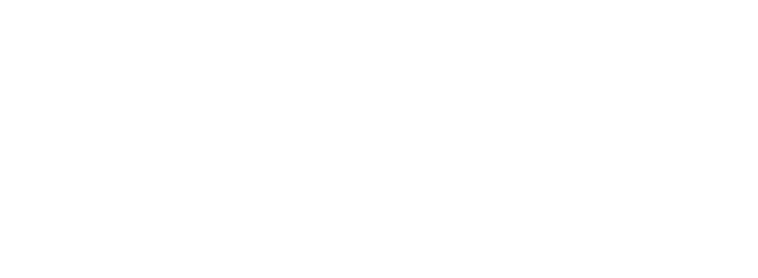 The Back & Spine Clinic