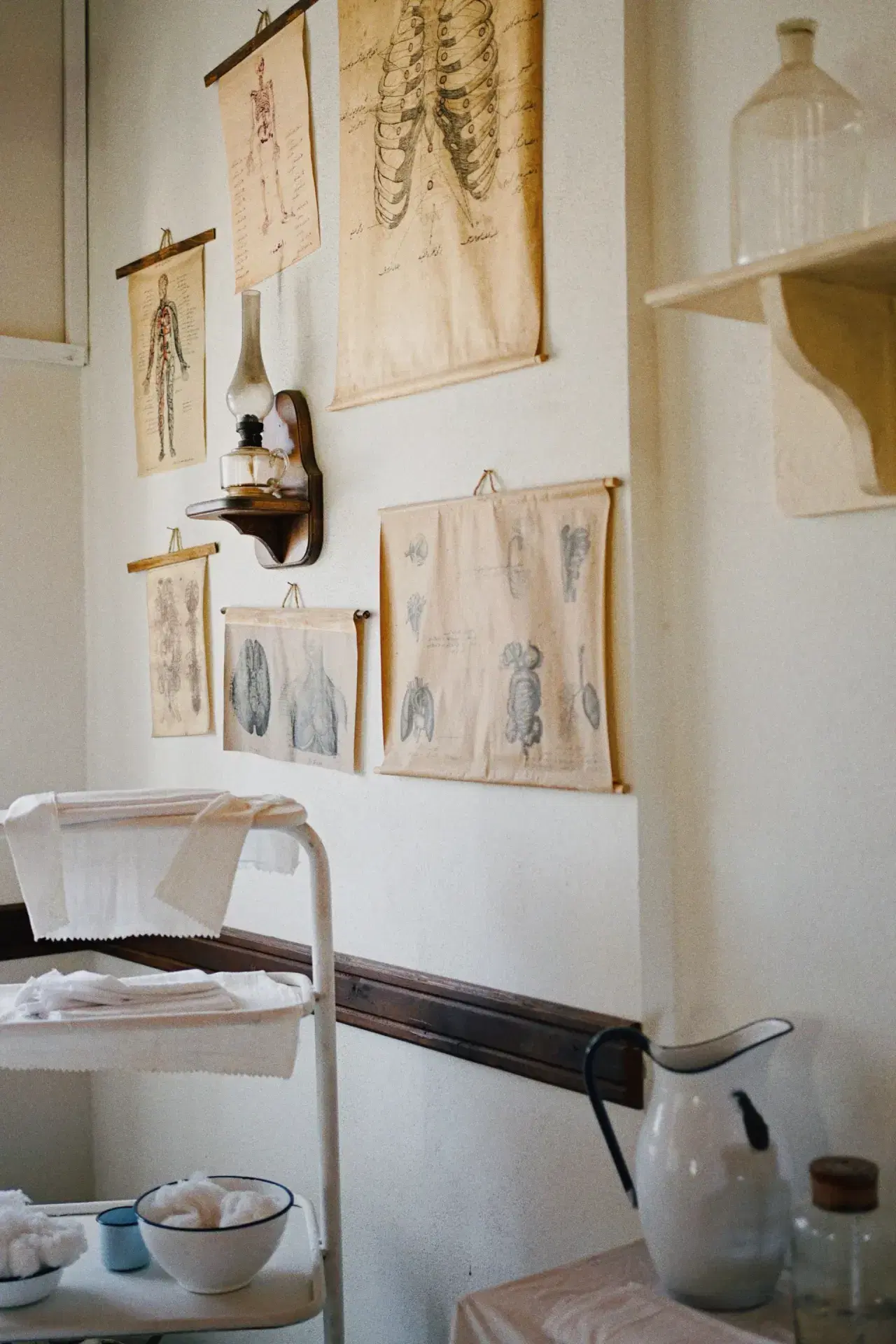 Six hung anatomy charts on a white wall above a dressing trolley.